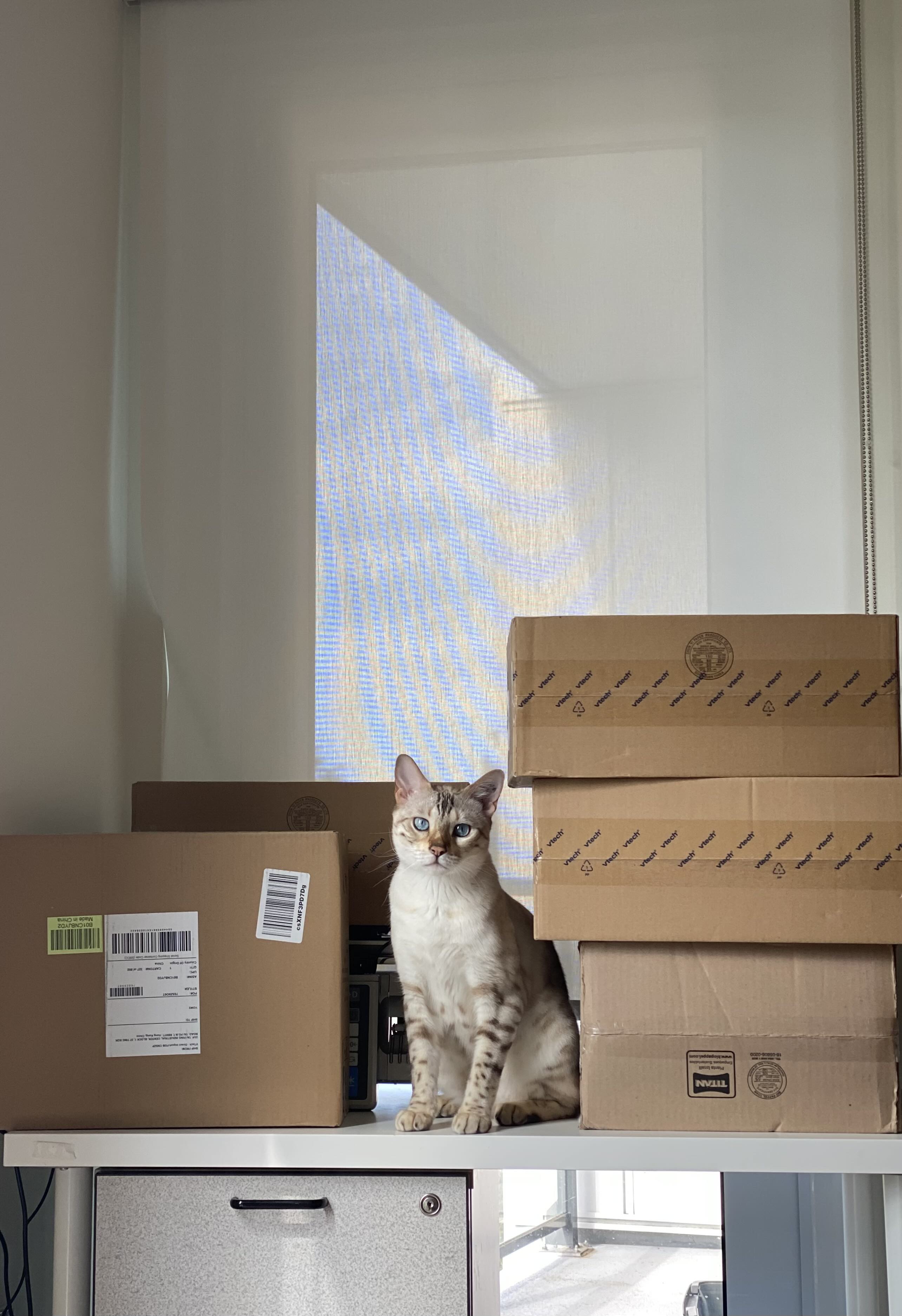 Prep Station - Stark